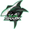Black Shark